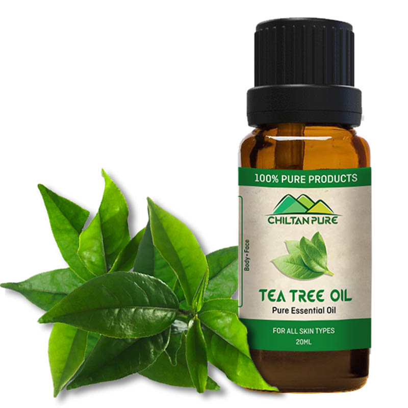 Tea Tree Essential Oil ~ Anti Acne by Chiltan Pure - Health Homie